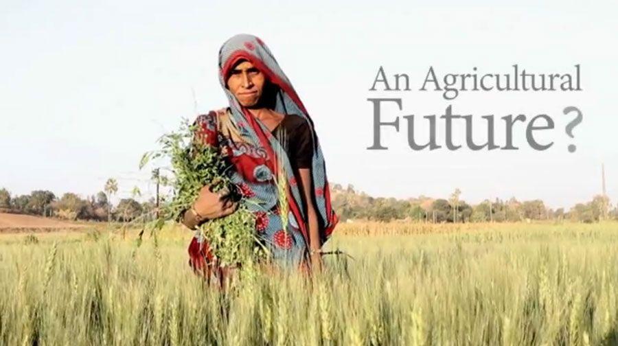 An Agricultural Future? - India